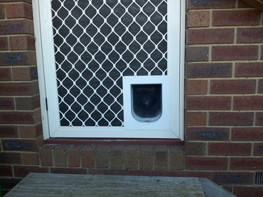 Outside view of the cat door