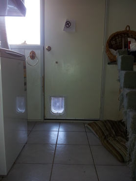 Inside view of the cat door