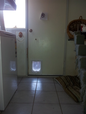 Inside view of the cat door