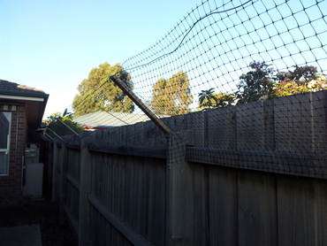 Netting along the top of the fences