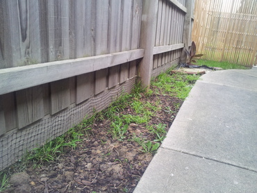 Netting along the bottom of the fence and buried