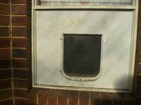 Pet Door Outside View